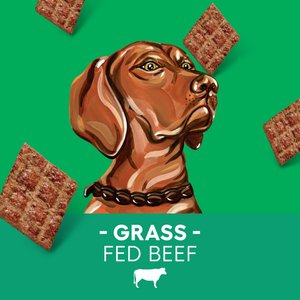 Newman's Own Beef Jerky Original Recipe Dog Treats, 14-oz bag