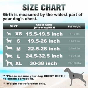 BARKBAY Air Reflective No-Pull Dog Harness with ID Tag Pocket, Sapphire Blue & Blue, Large: 24.5 to 32.5-in chest