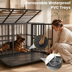 Xbrigh Indoor Heavy Duty Steel Escape Proof Double Door Dog Crate with Removable Tray & Wheels, Black, 48 inch slide 2 of 9