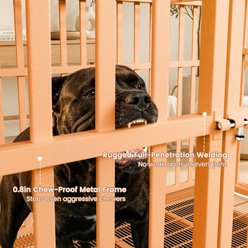 Xbrigh Heavy Duty Indestructible Escape Proof Steel Double Door Dog Crate with Wheels & Removable Tray, Large: 48 inch, Orange slide 2 of 7