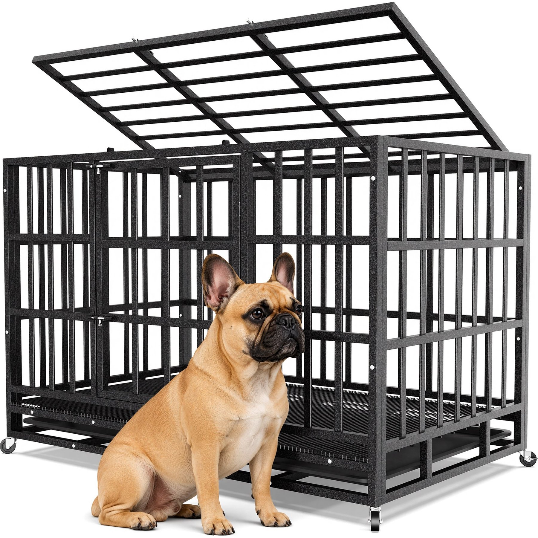 Xbrigh Heavy Duty Indestructible Escape Proof Steel Dog Crate, Black, Small: 38-in