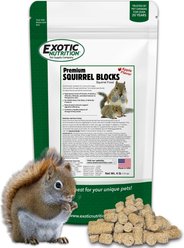 Exotic Nutrition Premium Feeders Blocks Squirrel Food, 4-lb bag