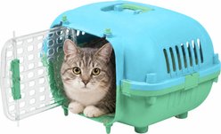Kitty City Plastic Dog & Cat Travel Kennel & Carrier, Blue & Green, 21-in