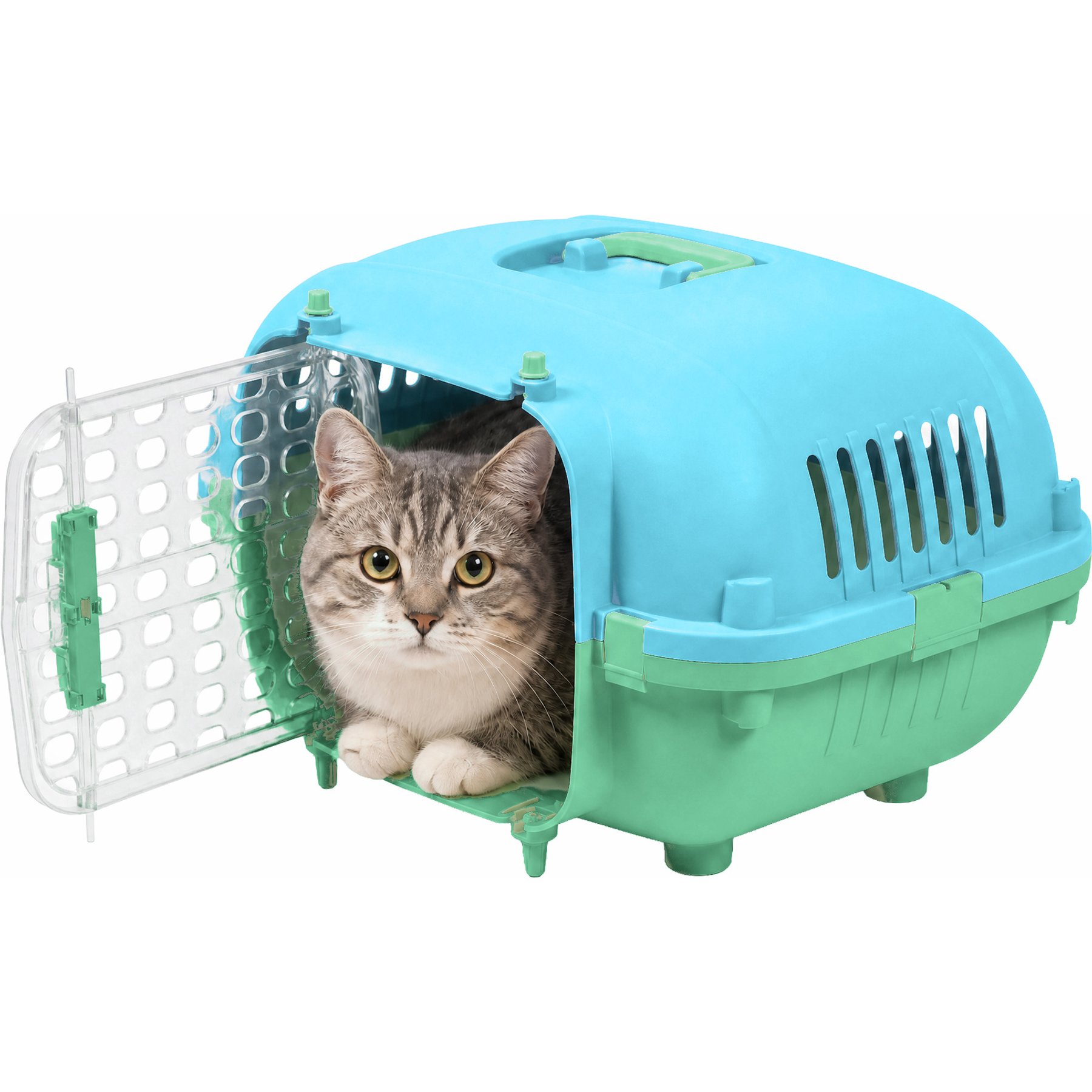 Kitty City Plastic Airline-Approved Dog & Cat Travel Kennel & Carrier, Blue & Green, 21-in