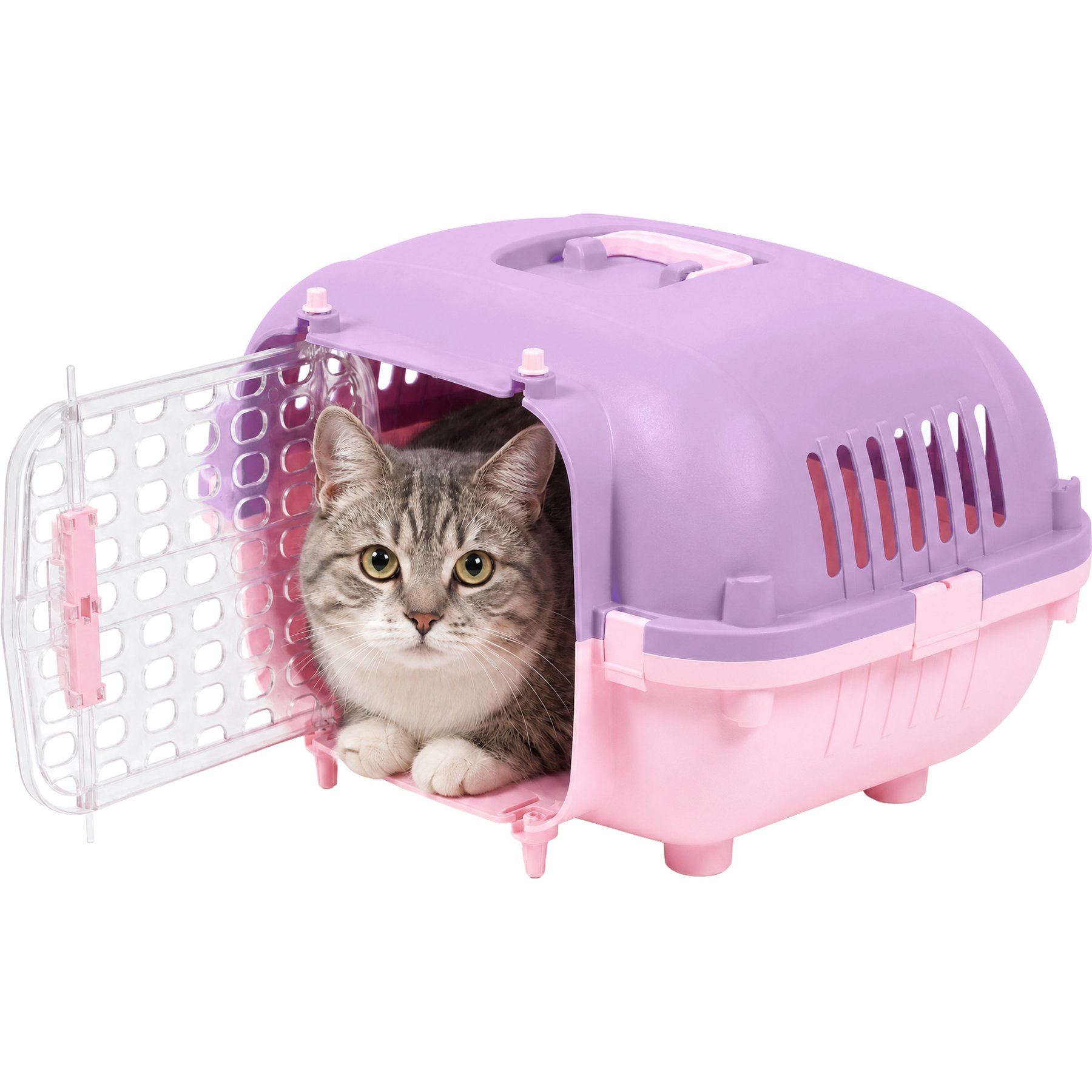 Kitty City Plastic Dog & Cat Travel Kennel & Carrier, Pink & Purple, 21-in