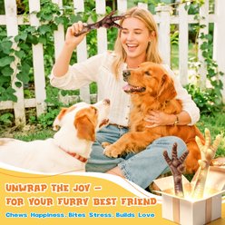 FUUFOME Reduce Boredom & Anxiety Aggressive Indestructible Tough Chewer Dog Toy, White, 2 count slide 2 of 7