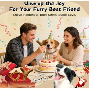 FUUFOME Aggressive Chewers with Tough Nylon Reduce Boredom & Anxiety Indestructible Dog Toy, Brown, 2 count