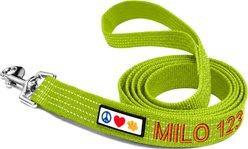 Pawtitas Custom Personalized Reflective Standard Dog Leash, Green, X-Small/Small: 6-ft long, 5/8-in wide