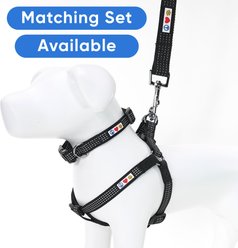 Pawtitas Custom Personalized Reflective Standard Dog Leash, Black, X-Small/Small: 6-ft long, 5/8-in wide slide 2 of 8