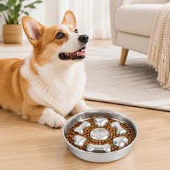 NonoPets Anti-Gulping Dishwasher Safe Lead Free Stainless Steel Slow Feeder Dog Bowl with Non-Slip Rubber Base, 44.67-oz, 9.8 x 1.6-in
