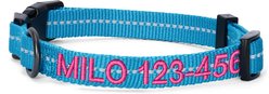Pawtitas Custom Personalized Recycled Reflective Adjustable Dog Collar, Teal, Large: 16 to 26-in neck, 1-in wide