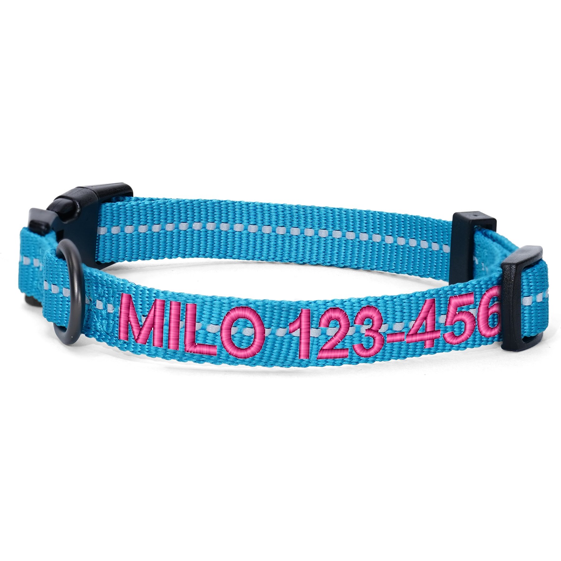 Pawtitas Custom Personalized Recycled Reflective Adjustable Dog Collar, Teal, Large: 16 to 26-in neck, 1-in wide