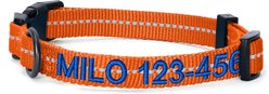 Pawtitas Custom Personalized Recycled Reflective Adjustable Dog Collar, Orange, Small: 11 to 16-in neck, 5/8-in wide