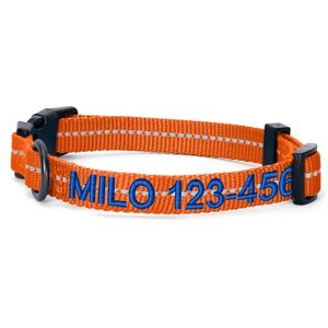 Pawtitas Custom Personalized Recycled Reflective Adjustable Dog Collar, Orange, Large: 16 to 26-in neck, 1-in wide