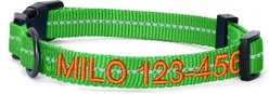 Pawtitas Custom Personalized Recycled Reflective Adjustable Dog Collar, Green, Medium: 13 to 20-in neck, 3/4-in wide slide 1 of 9