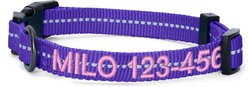 Pawtitas Custom Personalized Recycled Reflective Adjustable Dog Collar, Purple, Small: 11 to 16-in neck, 5/8-in wide