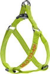Pawtitas Custom Personalized Reflective Step-In Basic Dog Harness, Green, Small: 15 to 22-in chest