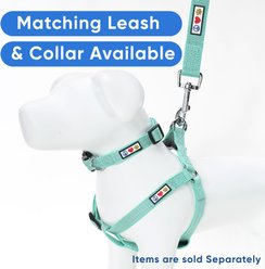 Pawtitas Custom Personalized Reflective Step-In Basic Dog Harness, Teal, Small: 15 to 22-in chest slide 2 of 8