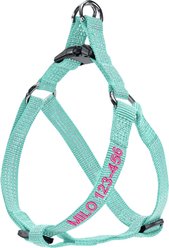 Pawtitas Custom Personalized Reflective Step-In Basic Dog Harness, Teal, Small: 15 to 22-in chest