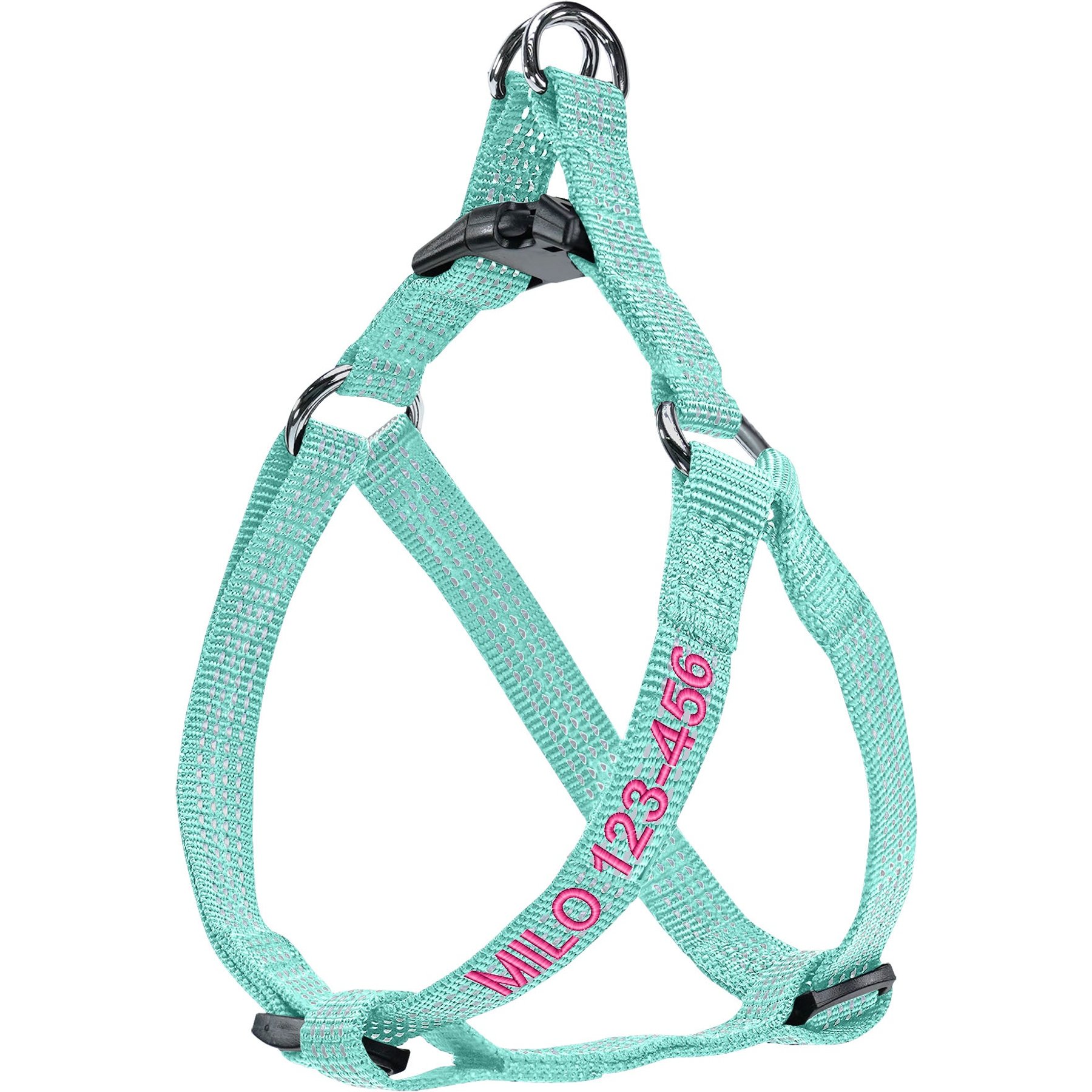 Pawtitas Custom Personalized Reflective Step-In Basic Dog Harness, Teal, X-Small: 11 to 15-in chest