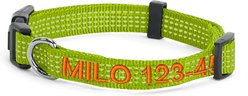 Pawtitas Custom Personalized Reflective Adjustable Dog Collar, Green, X-Small: 8 to 13-in neck, 3/8-in wide