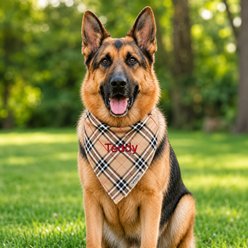 The Worthy Dog Personalized Plaid Dog Bandana, Tan, Large slide 2 of 5