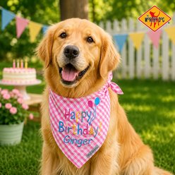 The Worthy Dog Personalized Happy Birthday Dog Bandana, Pink, Large slide 2 of 5