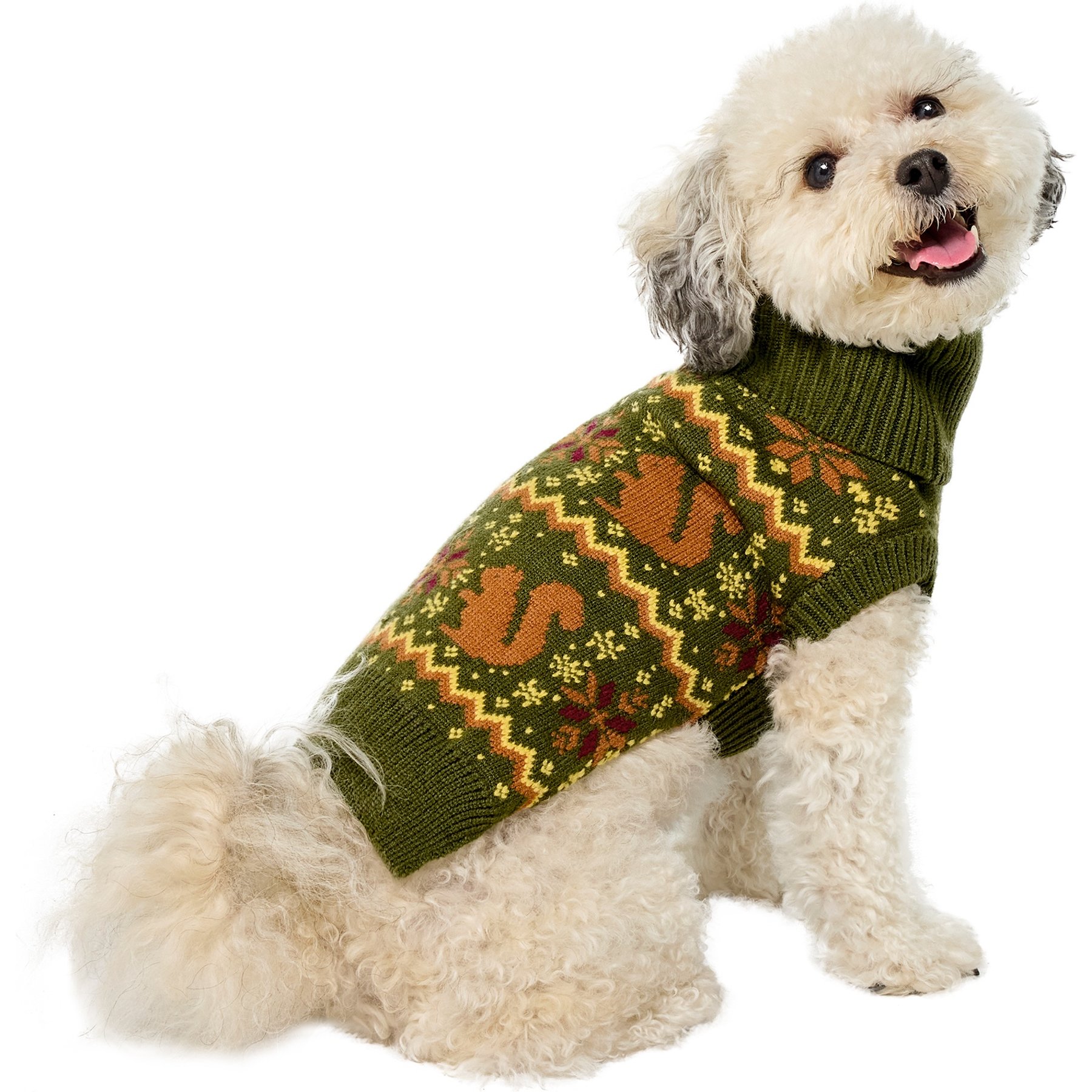 Frisco Autumn Fair Isle Green Squirrels Dog & Cat Turtleneck Sweater, Small