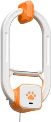Katziela Interactive Rechargeable Hanging Door Electronic Teaser Cat Toy with Remote Control, Dual Motion Modes & Motorized Mouse Teaser, White