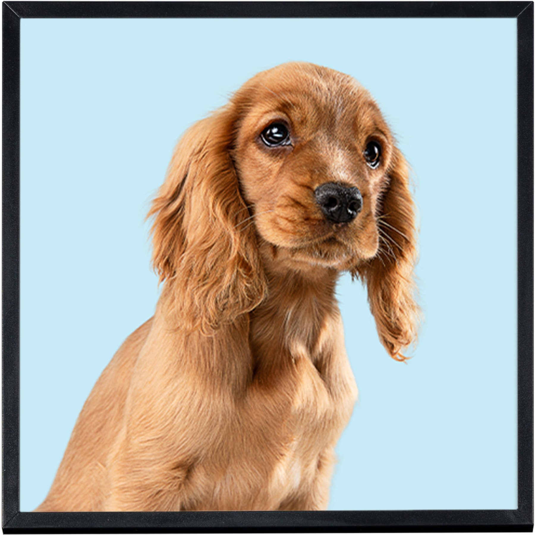 TilePix Picture Frame, Black, 8 x 8-in