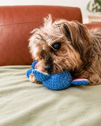 EYS Elephant Soft Plush Squeaky Dog Toy with Crinkle Ears, Blue slide 2 of 6