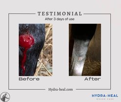 Hydra Heal Pet Wound Care Squeeze Gel, 1-oz bottle slide 2 of 5
