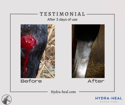 Show full view: Hydra Heal Pet Wound Care Squeeze Gel, 1-oz bottle slide 3 of 5