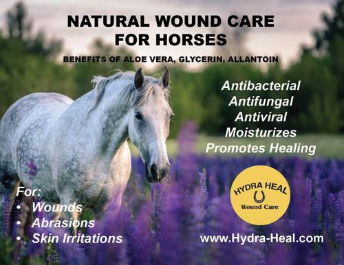 Show full view: Hydra Heal Pet Wound Care Squeeze Gel, 1-oz bottle slide 2 of 5