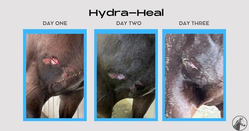 Show full view: Hydra Heal Pet Wound Care Squeeze Gel, 1-oz bottle slide 4 of 5
