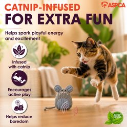ASPCA Textured Mouse Catnip Chaser Cat Toy slide 2 of 6