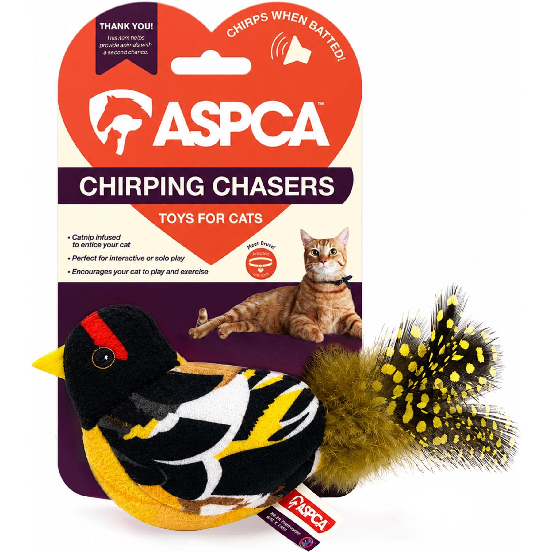 ASPCA Interactive Indoor Chirping Bird Catnip Chaser Cat Toy