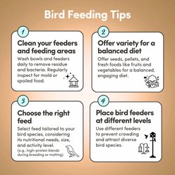 Mycelium Feeds Seed Blends Pigeon Food, 5-lb bag slide 2 of 9