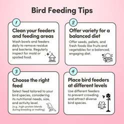 Mycelium Feeds High Protein Vitamins & Minerals with Fruits & Vegetables Seed Blends Bird Food, 5-lb bag slide 2 of 9