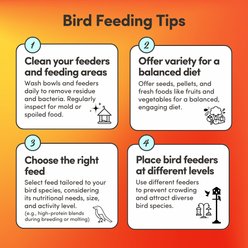 Mycelium Feeds Seed Blends Cockatiels Food, 5-lb bag slide 2 of 9