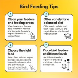 Mycelium Feeds Super Seed Blends Cockatiels Food, 5-lb bag slide 2 of 9