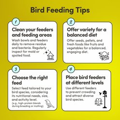 Mycelium Feeds Seed Blends Cockatoos Food, 5-lb bag slide 2 of 9