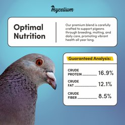 Mycelium Feeds High Protein Seed Blends Outside Pigeon Food, 5-lb bag slide 2 of 9