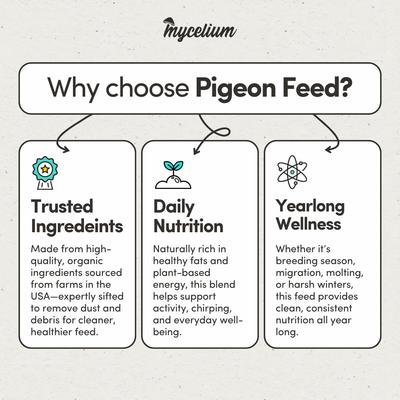 Show full view: Mycelium Feeds Seed Blends Energy Pigeon Food, 5-lb bag slide 7 of 9