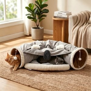   677 ミニキャット キルロイ COZIWOW by Jaxpety Collapsible Cat Tunnel Bed, Grey - Chewy.com