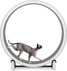 One Fast Cat Gen 7 Cat Exercise Wheel, White with Gray Felt Pads