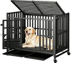 Newget Indoor & Outdoor Heavy Duty Dog Crate, Medium: 42 inch