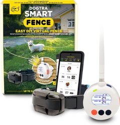 Dogtra Smart Fence Wireless App Alarm System Rechargeable Portable Virtual Containment Collar, Black