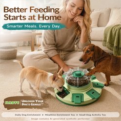 KADTC Lucky Wheel 2 In 1 Puzzle Dog Toy, Green slide 2 of 9