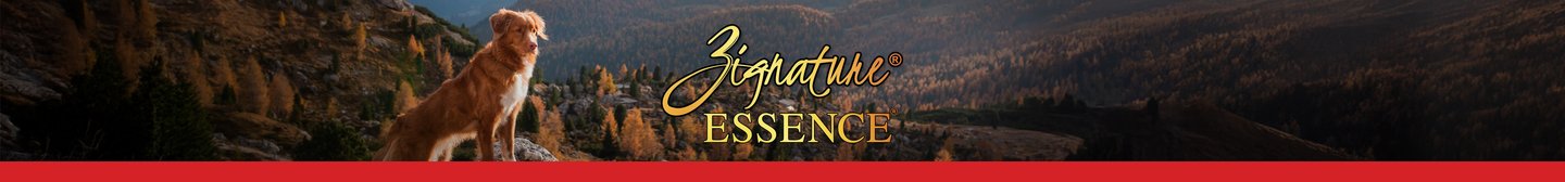 Zignature Essence